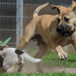 HuTa Einzelbuchung von 7-15 Uhr