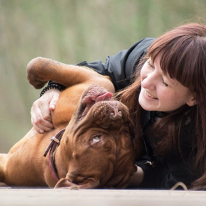 Kennenlerntermin Hundeberteuung